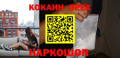 гидра Можга
