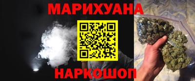 гидра Можга