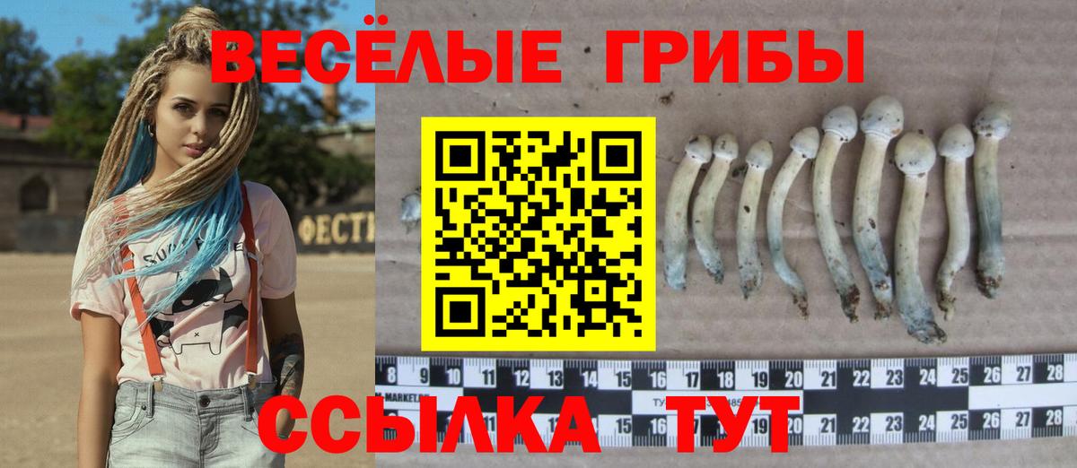 Тосно  Галлюциногенные грибы Cubensis  цена наркотик  Вход с VPN 